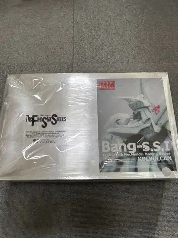 VOLKS fss 1/100 Bang-S.S.I 파열의 인형 레진 키트