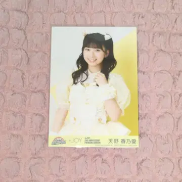 아마노 코노아 봉입