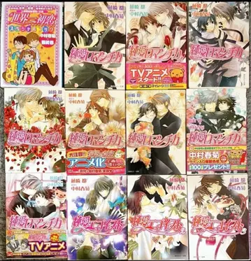 순정 로맨티카 소설 세트