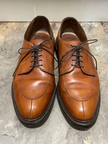 Allen Edmonds WALTON U칩 10D