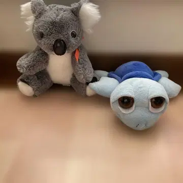 코알라 거북이 봉제 인형 세트 호주