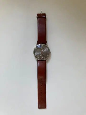 스카겐(SKAGEN) 손목시계