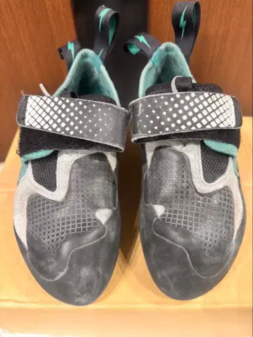 evolv 클라이밍 신발 제니스 JP22.5cm