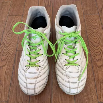 미즈노 축구 트레이닝 슈즈 모나르시다 네오 25.0cm