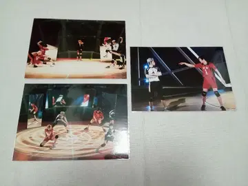 하이 스테 브로마이드