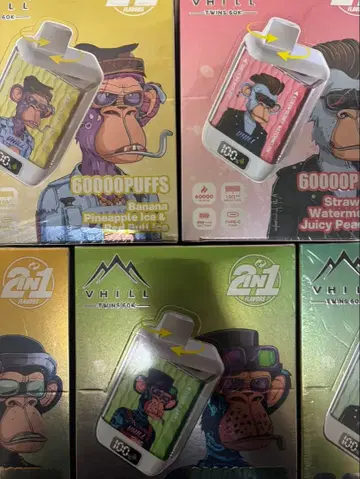 VHILL 60000PUFFS 2in1 디바이스