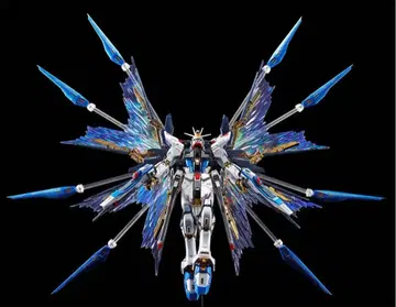 RG 스트프리 데스티니 티타늄 피니쉬 세트