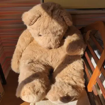 테디베어 봉제 인형 특대 사이즈