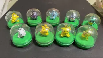 포켓몬 메이지 초코볼