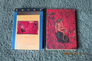 에밀 시오 사후 생활