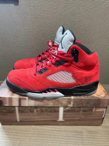 Jordan 5