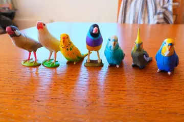 잉꼬, 앵무새, 문조, 새 피규어 7체 세트