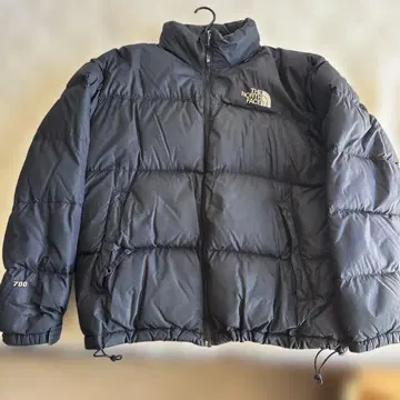 [ 가격 협상 가능 ] THE NORTH FACE 눕시 레어 센터 로고