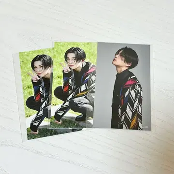 야기 유세이 사진 카세트