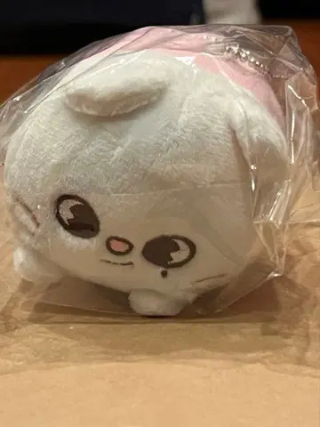 SKZOO 미니 백참 지니레트