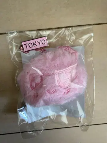 SEVENTEEN NEW 모자 꽁지 키링 도쿄