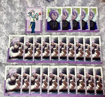 프로세카 카미시로 루이 에피카 묶음 판매