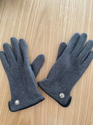 다케오 키쿠치 그레이 장갑