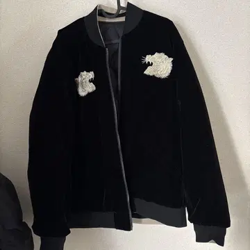 타이온 리버서블 스카잔