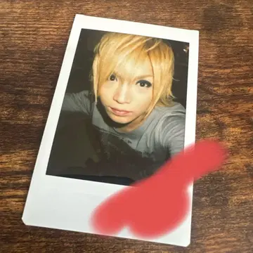 골든 폭격기 키류인 쇼 폴라로이드