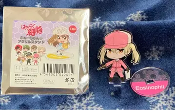 일하는 세포 포춘 아크릴 스탠드 호산구 2019년 원화전