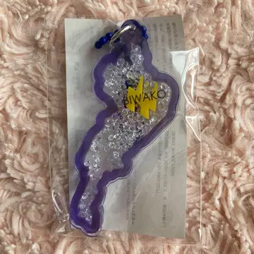 비와코 키링 미치노에키 쿠사츠 한정판 썬더 4