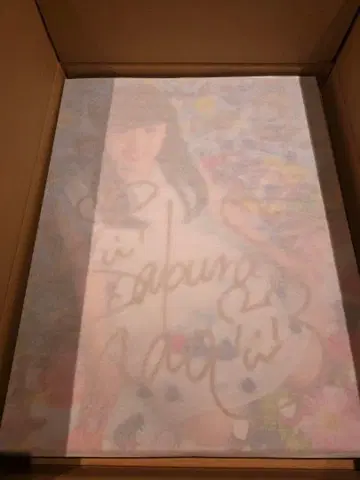 사쿠라 나오 패널 친필 사인 시리얼 TEAM SHACHI (A)