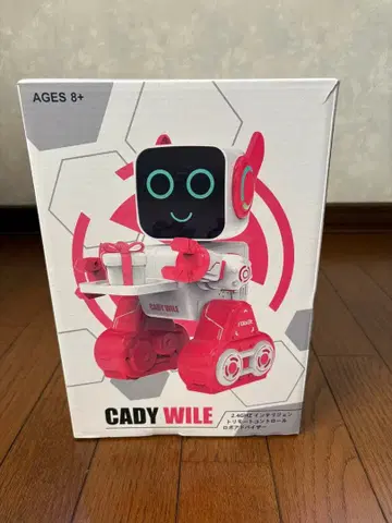 Cady Wile 음성 인식 로봇