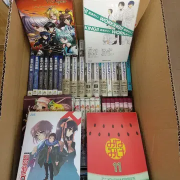 D-064 애니메이션 DVD 34개 묶음 판매