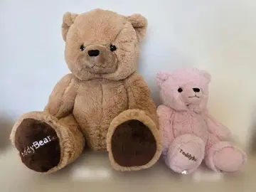 TeddyBear 봉제 인형 세트