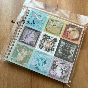 이브이 컬렉션 링 노트 이브이 컬렉션