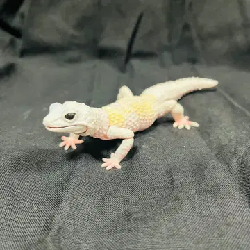 생물대도감 어드밴스 레오파드 도마뱀 브리자드