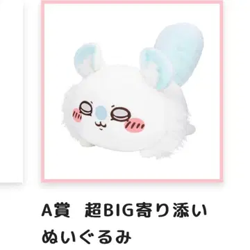 모몽가 가득 복권 A상 초BIG 곁에 있는 봉제 인형