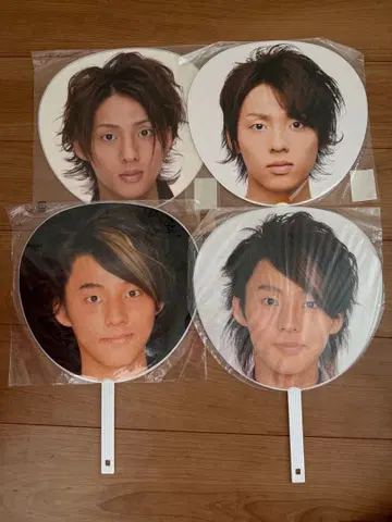 후지가야 타이스케 부채 13장