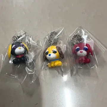 초코 보로 오챠이누 햄 롱 알