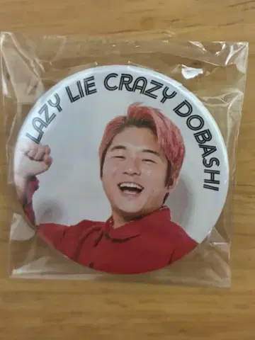 도바 사범 캔뱃지 레이크레