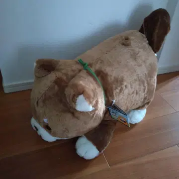 브라운 시바견 봉제 인형