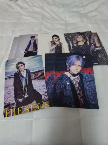 vistlip 루이 엽서 세트