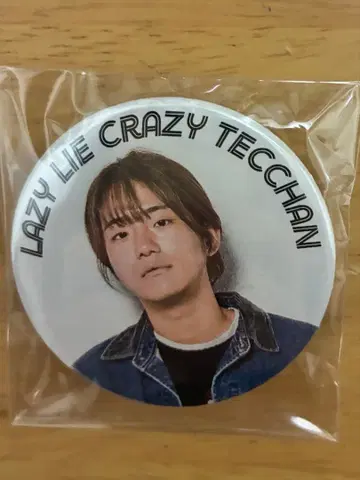 텟짱 캔뱃지 레이크레