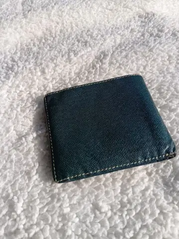 그린 컬러 이단 접이식 지갑 동전 지갑 포함 [ 당일 발송 가능 ]