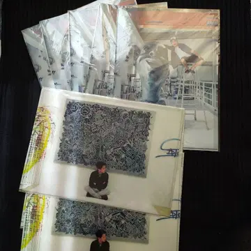 아라시 오노군 [ FREESTYLE ] 클리어 파일 2종 10매