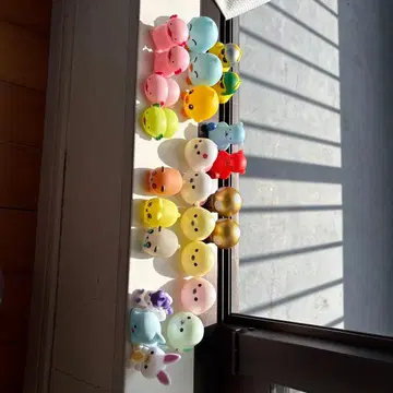 손바닥 사이즈 입상