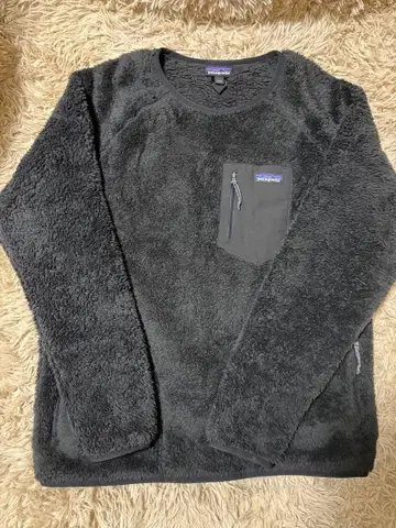 파타고니아 로스 가스트 크루 플리스 L BLK 25895FA20