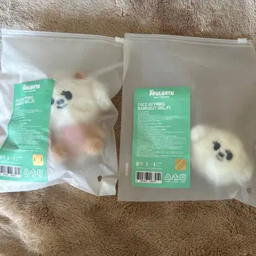 txt 범규 봄규 키링