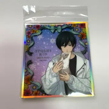 블루 록 마즐 아크릴 라메 아트 rabbit 이토시 린