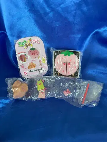 리멘트 푸치 샘플 마메타마 딸기 5 딸기 방에 어서 오세요