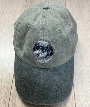 GRAY 개 자수 캡 미니 시바견?