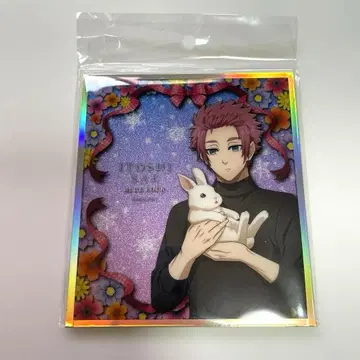 블루 록 마즐 아크릴 라메 아트 rabbit 이토시 사에