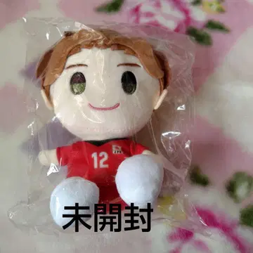 타카하시 아이 봉제 인형