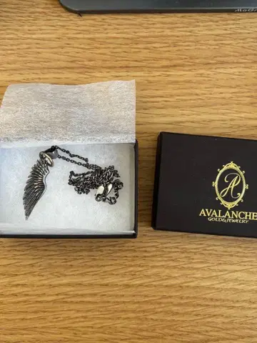 AVALANCHE 깃털 모티브 목걸이